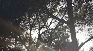 Kuyuluk Tabiat Parkı