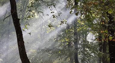 Falih Rıfkı Atay Tabiat Parkı