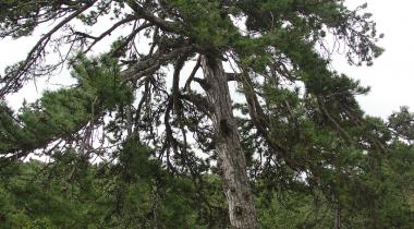 Yozgat Fatih Tabiat Parkı