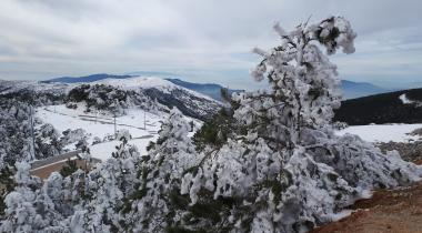 Süreyya Tabiat Parkı