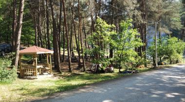 Sakarya İl Ormanı Tabiat Parkı