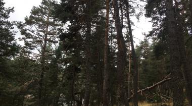 Eğriova Tabiat Parkı