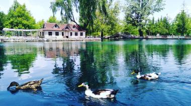 Kuğulu Tabiat Parkı