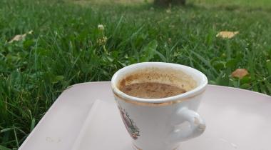 Kuğulu Tabiat Parkı