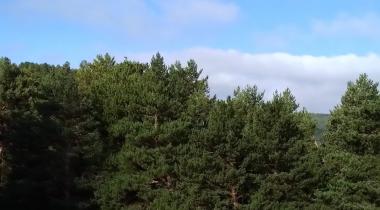 Dumanlı Tabiat Parkı