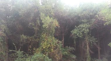 Türkmenbaşı Tabiat Parkı