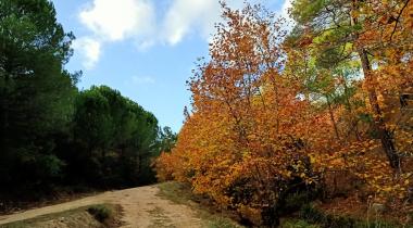 Çanakkale Çamlıca Şelalesi