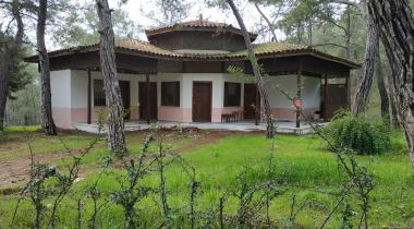 Dikilitaş Tabiat Parkı