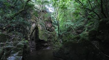 Kocaeli Çenedağ Şelalesi