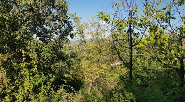 Yalova Harmankaya Tabiat Parkı