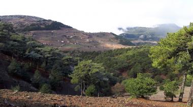 Süreyya Tabiat Parkı
