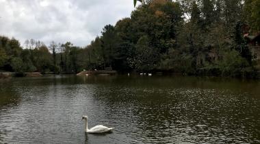 Polonezköy Tabiat Parkı