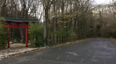Park Orman Tabiat Parkı