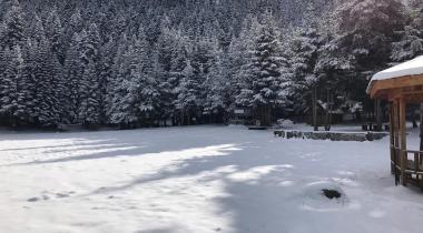 Oymalık Tabiat Parkı