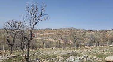 Tillo Tabiat Parkı