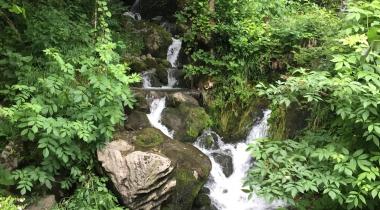 Yedideğirmenler Tabiat Parkı