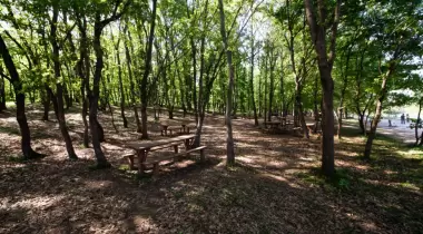 Poyrazlar Gölü Tabiat Parkı