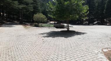Yavşan Yaylası Tabiat Parkı
