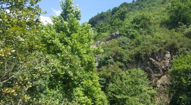 Kocaeli Çenedağ Şelalesi