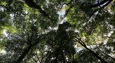 Neşetsuyu Tabiat Parkı