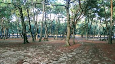 Efeoğlu Tabiat Parkı
