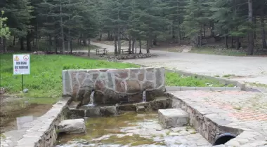 Yavşan Yaylası Tabiat Parkı