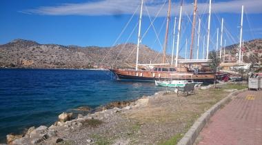 Muğla Söğüt Köyü Çınarı Tabiat Anıtı