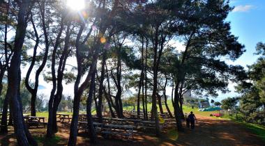 Değirmen Burnu Tabiat Parkı