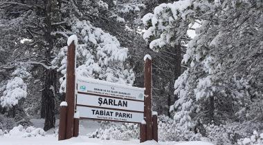 Şarlan Tabiat Parkı
