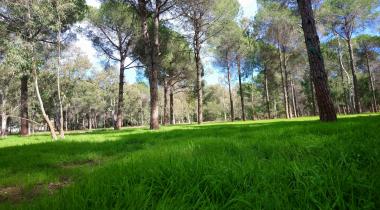Mavikent Tabiat Parkı