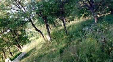 Tekkedağı Tabiat Parkı