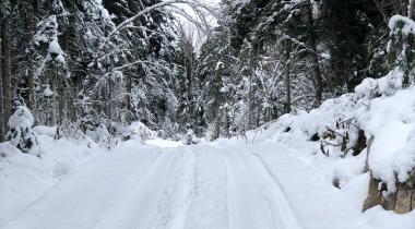 Kastamonu Çatak Kanyonu Cam Seyir Terası