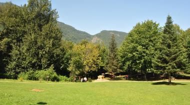 Güzeldere Şelalesi Tabiat Parkı