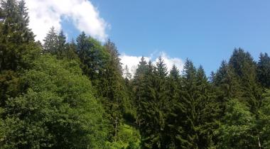 Koçkayası Tabiat Parkı