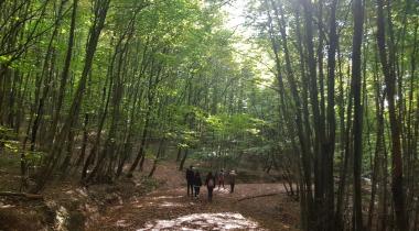 Polonezköy Tabiat Parkı