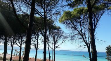 Tanay Tabiat Parkı