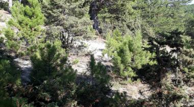 Durasan Şah Tabiat Parkı