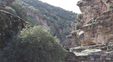 Taşyaran Vadisi Tabiat Parkı