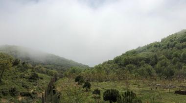 Tekirdağ Kartaltepe Tabiat Parkı