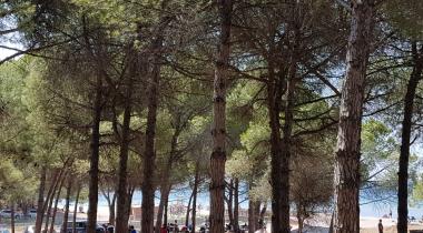 Kabatepe Kamp Alanı