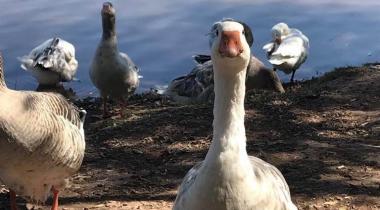 Poyrazlar Gölü Tabiat Parkı