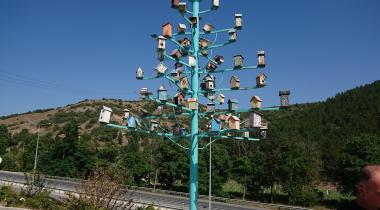 Sıklık Tabiat Parkı