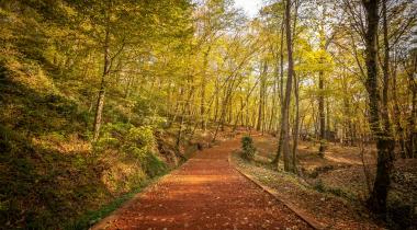 Kirazlıbent Tabiat Parkı