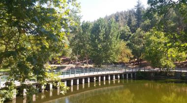 Değirmenboğazı Tabiat Parkı