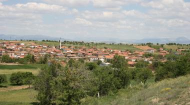 Afyon Koruluk Kermes Meşesi - 3 Tabiat Anıtı