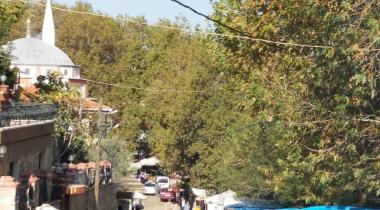 İzmir Kunduracı Çınarı Tabiat Anıtı
