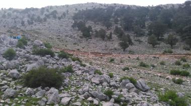 Isparta Barla Sedir Ağacı Tabiat Anıtı
