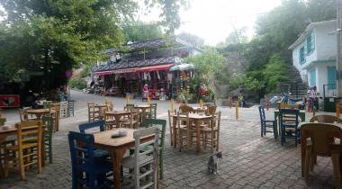Muğla Bayır Çınarı Tabiat Anıtı
