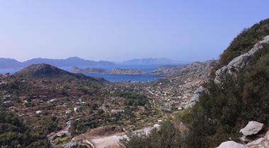 Muğla Bayır Çınarı Tabiat Anıtı