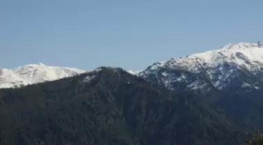 Artvin Camili Efeler Ormanı Tabiatı Koruma Alanı